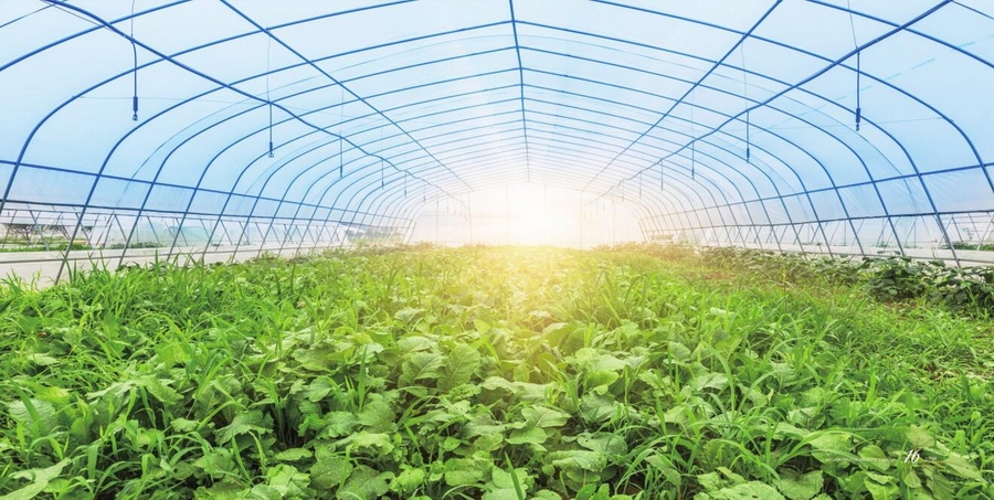 種植公司.jpg